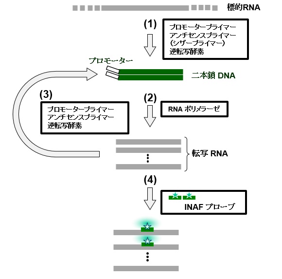 TRC原理図20210810.jpg